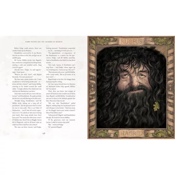 Harry Potter és a Titkok Kamrája – illusztrált könyv, angol