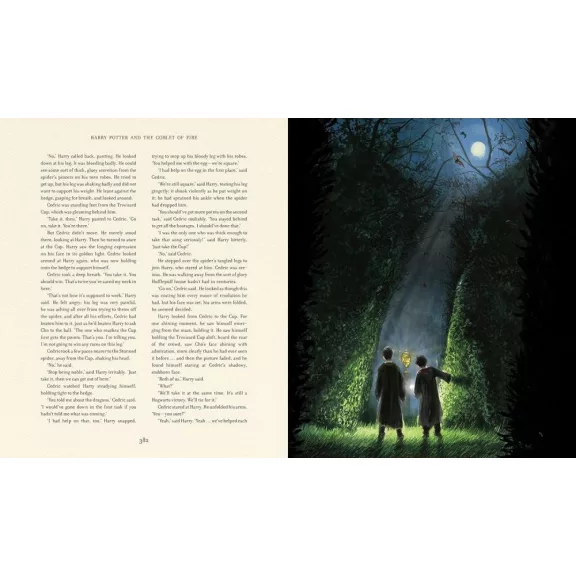 Harry Potter és a Tűz Serlege – illusztrált könyv, angol
