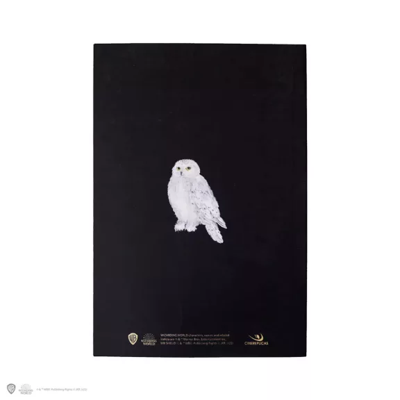 Harry Potter - Harry portrés puhafedeles jegyzetfüzet Harry Potter - Harry portrés puhafedeles jegyzetfüzet