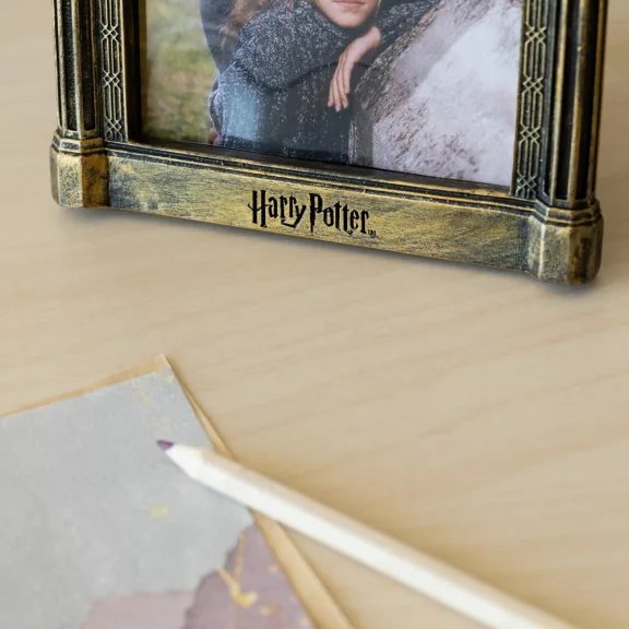 Harry Potter - Edevis Tükre 3D képkeret
